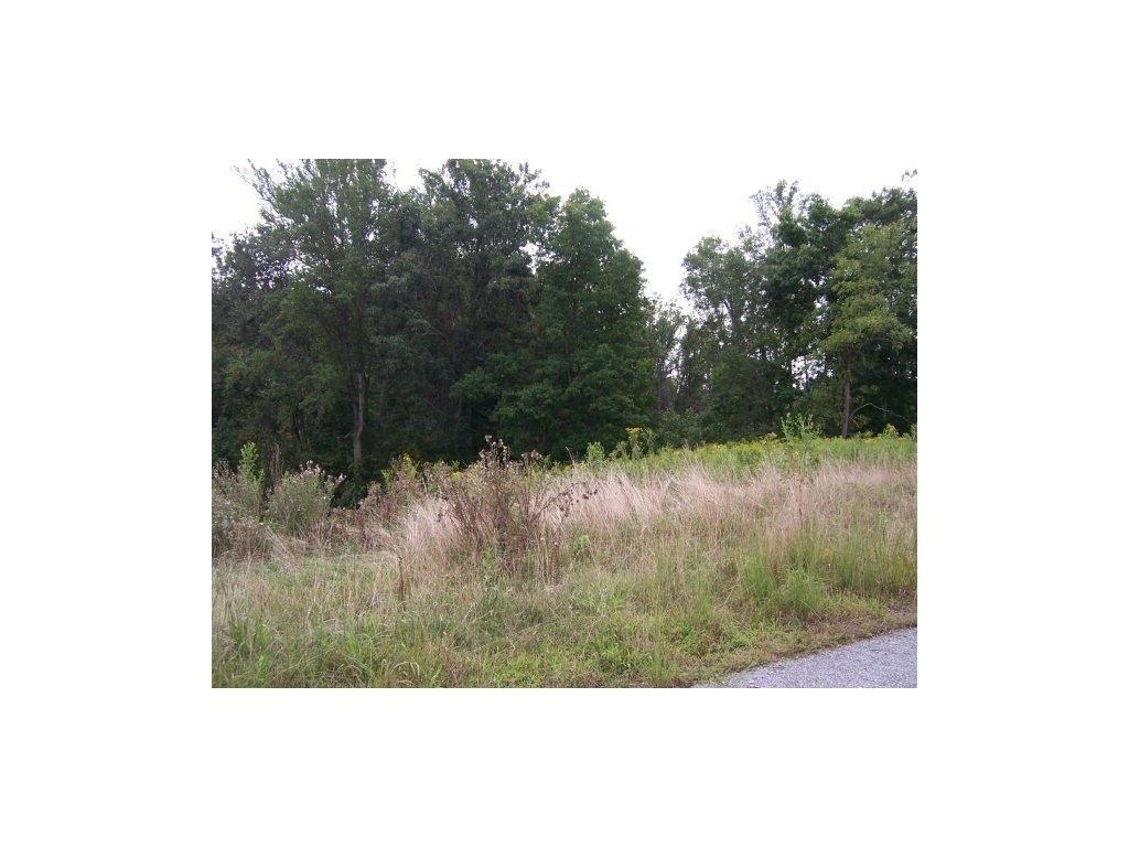 1. 0 Lake Pointe Drive, Lot 9