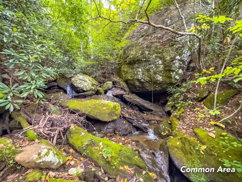 2. Lot 206 Covered Bridge Trl