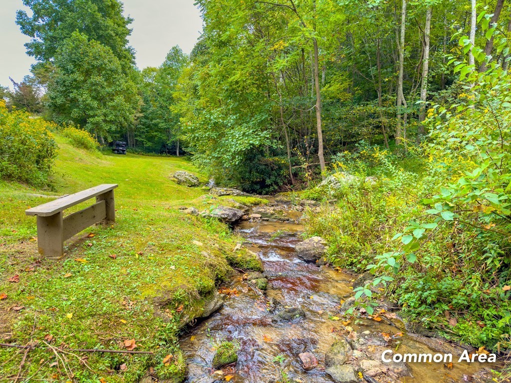 15. Lot 206 Covered Bridge Trl