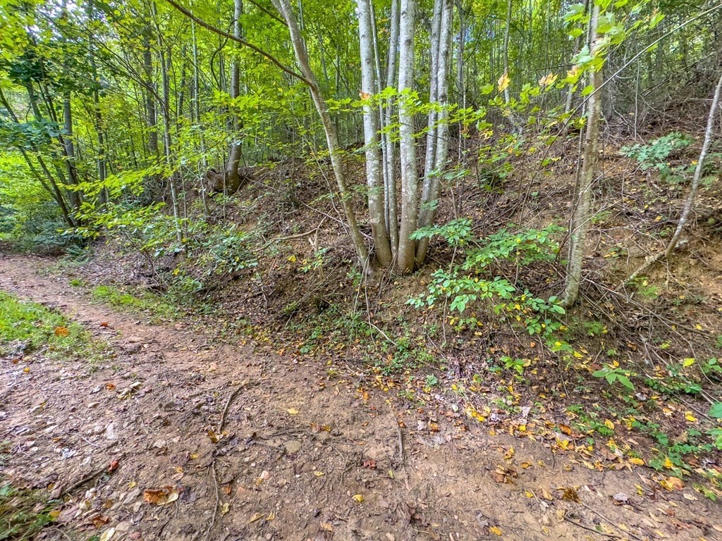 23. Lot 206 Covered Bridge Trl