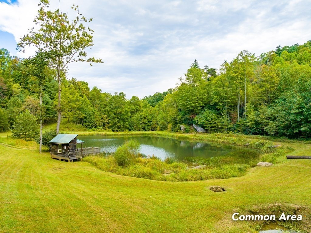 32. Lot 206 Covered Bridge Trl