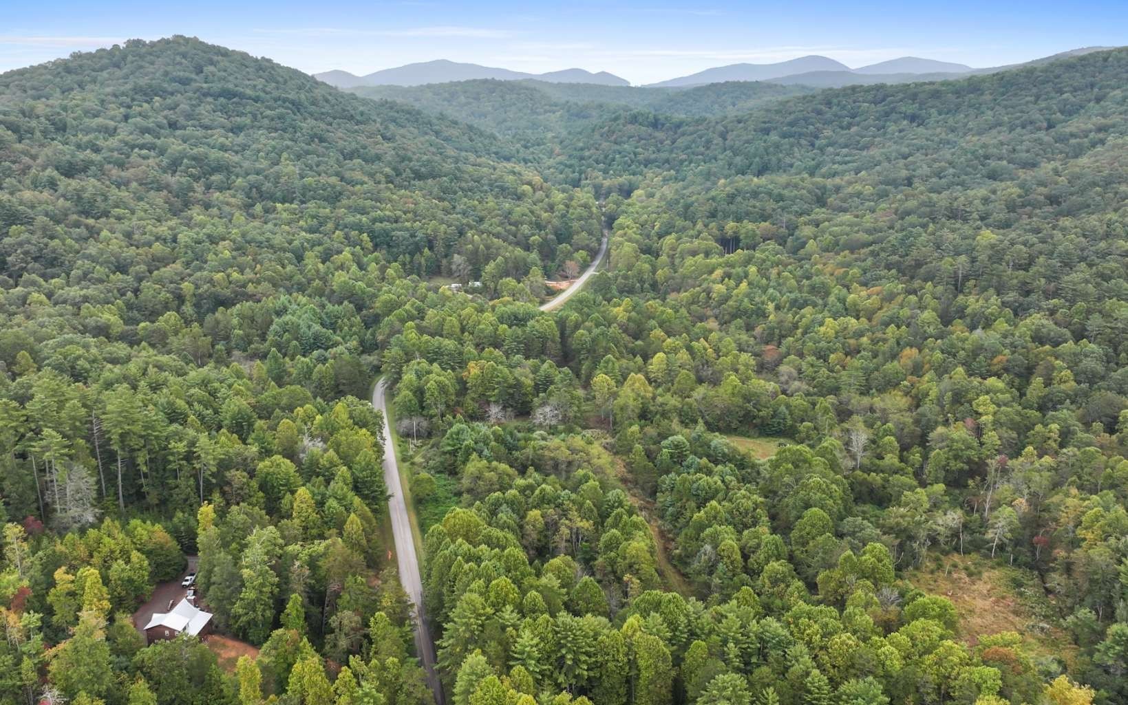 44. 1955 Cavender Gap Road