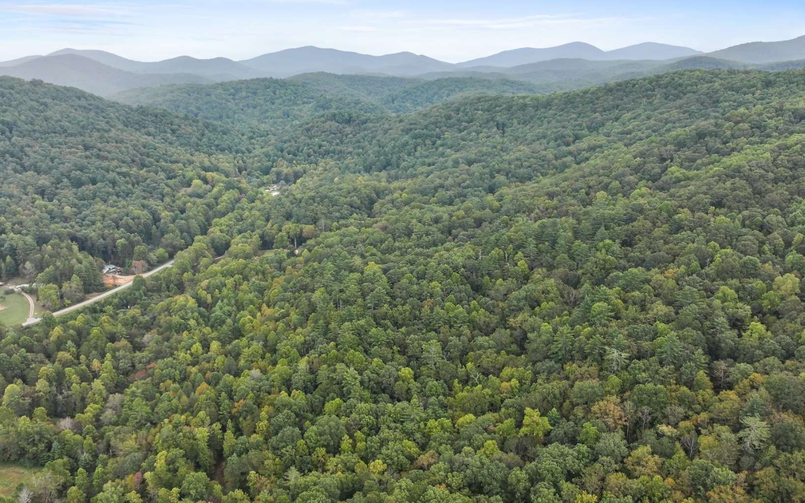 1. 1955 Cavender Gap Road