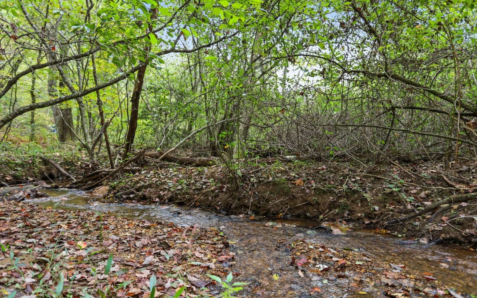 33. 1955 Cavender Gap Road