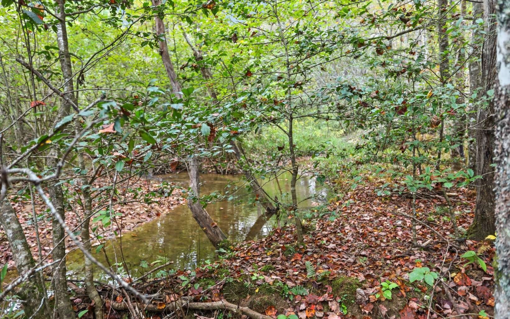 34. 1955 Cavender Gap Road