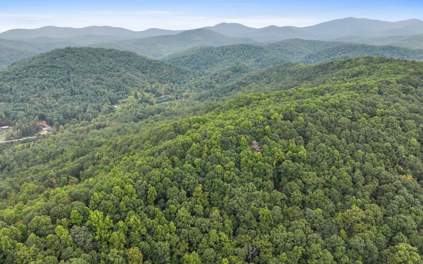 5. 1955 Cavender Gap Road