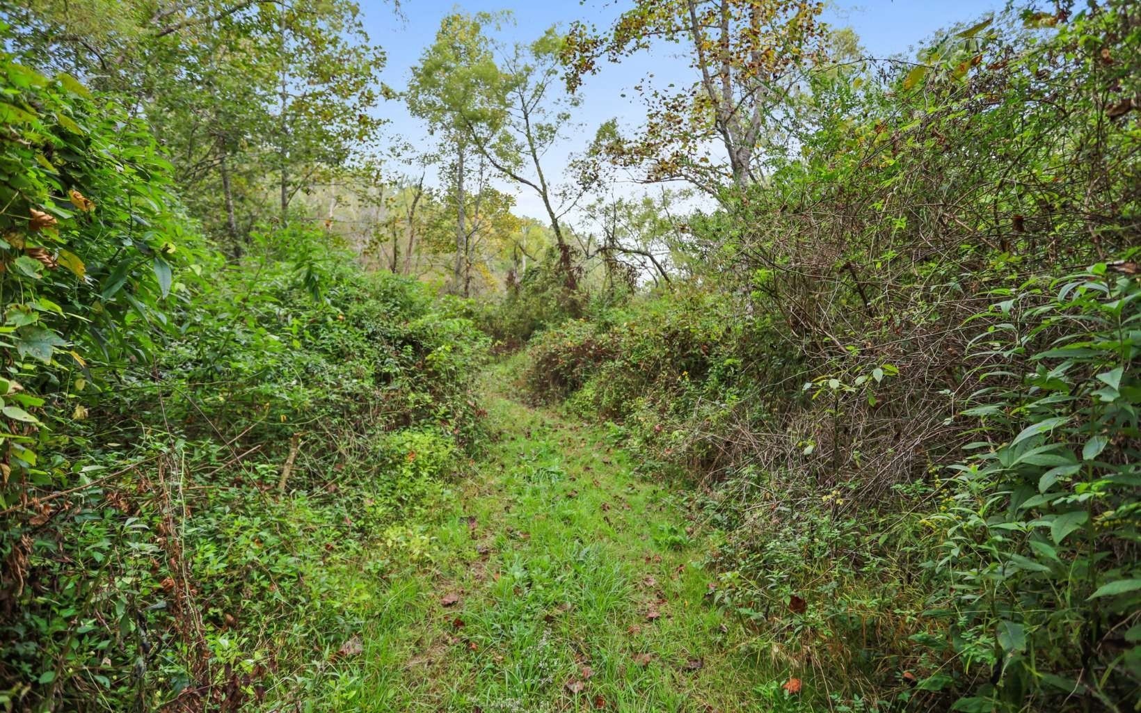 11. 1955 Cavender Gap Road