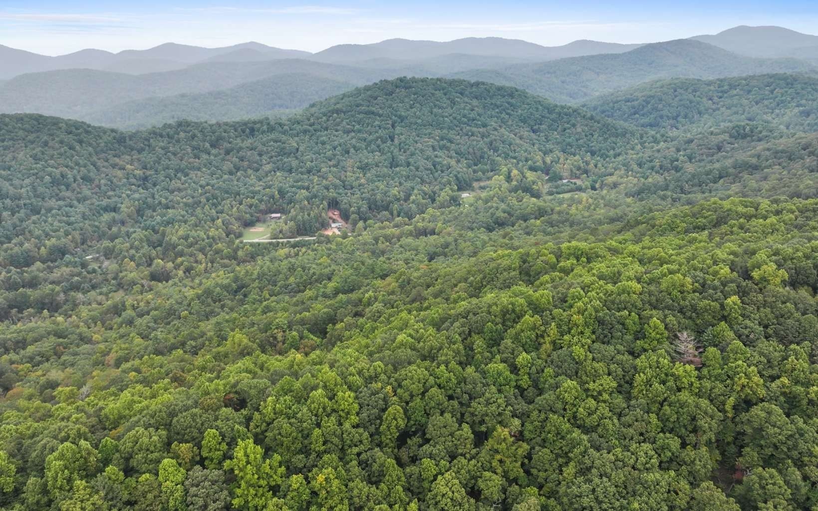 4. 1955 Cavender Gap Road