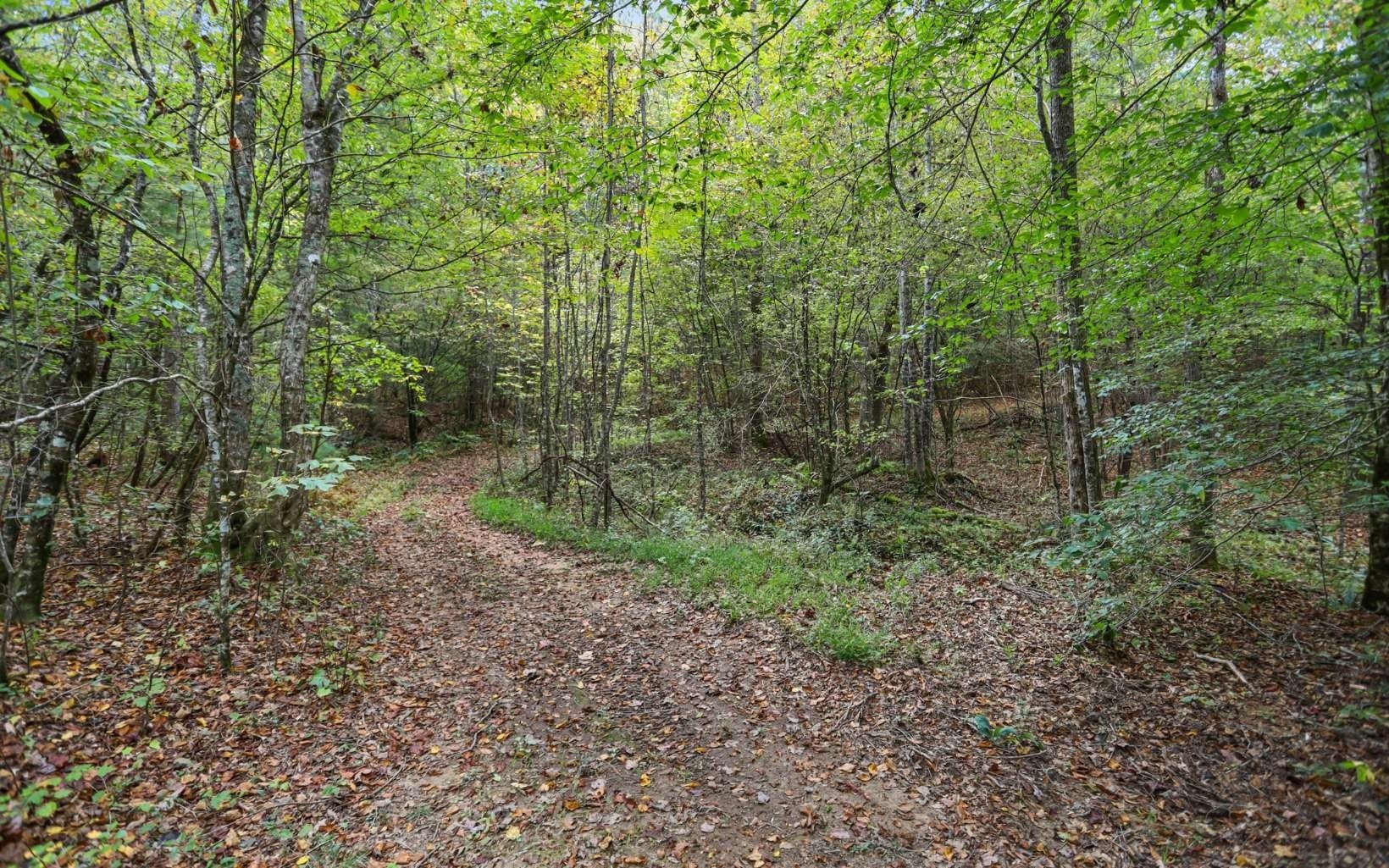 29. 1955 Cavender Gap Road