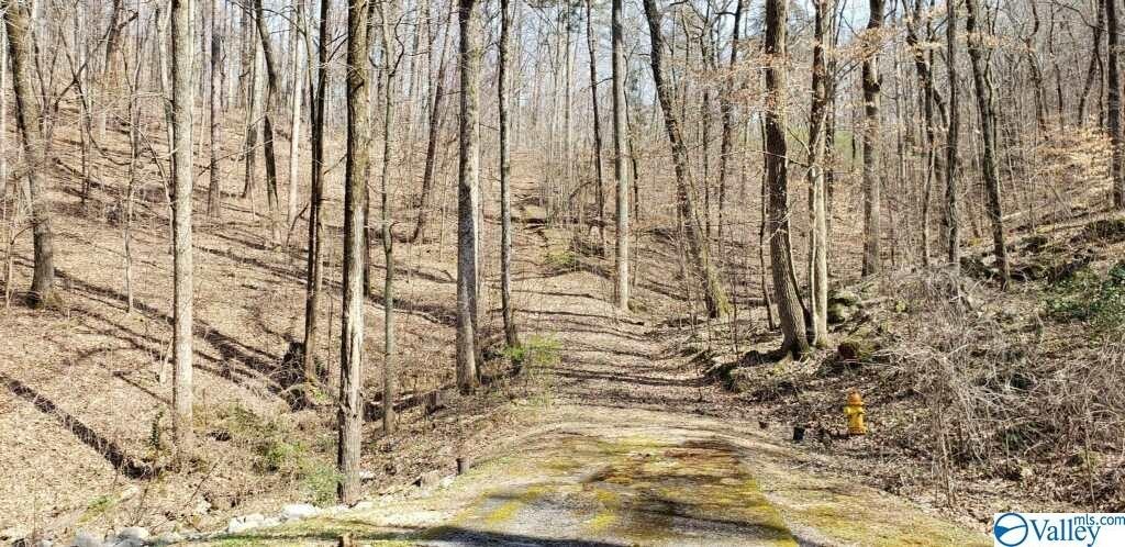 1. 3.2 Acres Northwoods Trail