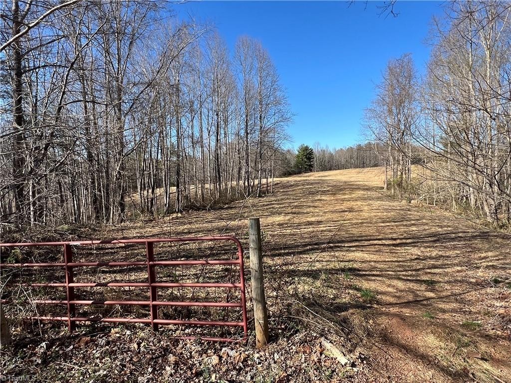 7. 10 Ac Cedar Ridge Road