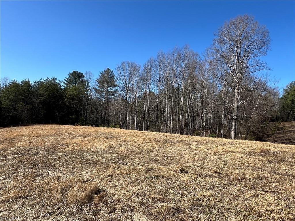 5. 10 Ac Cedar Ridge Road