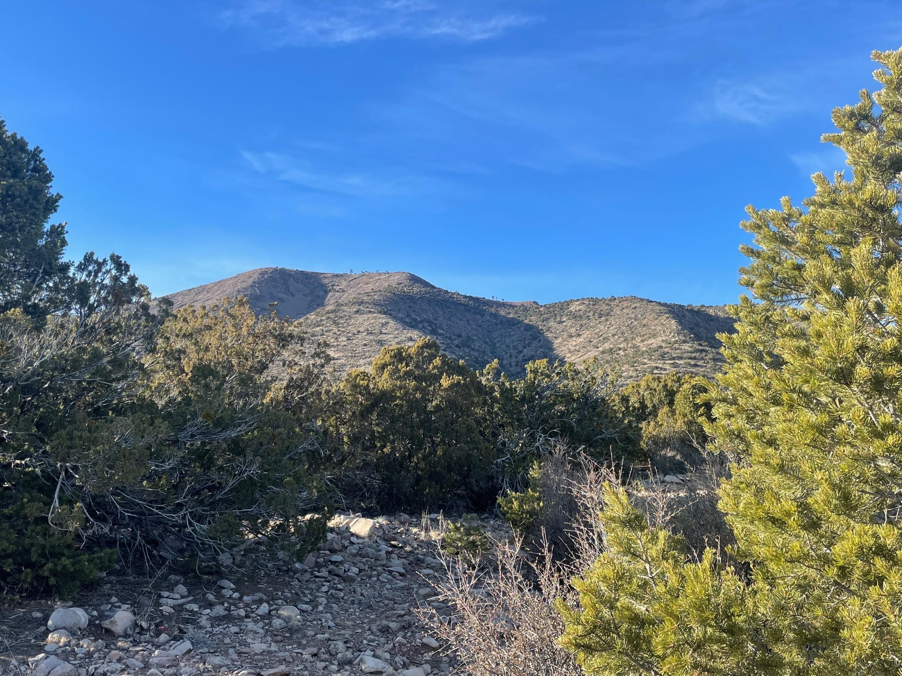 1. Lot 125 S Mountain Road