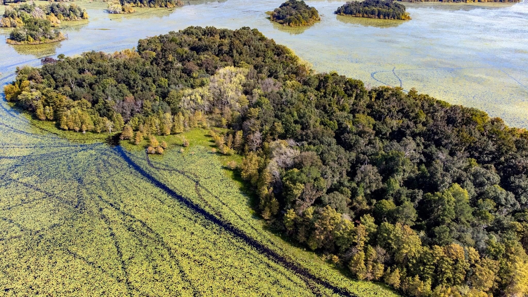 8. Xxxx Lake Iamonia Islands Island