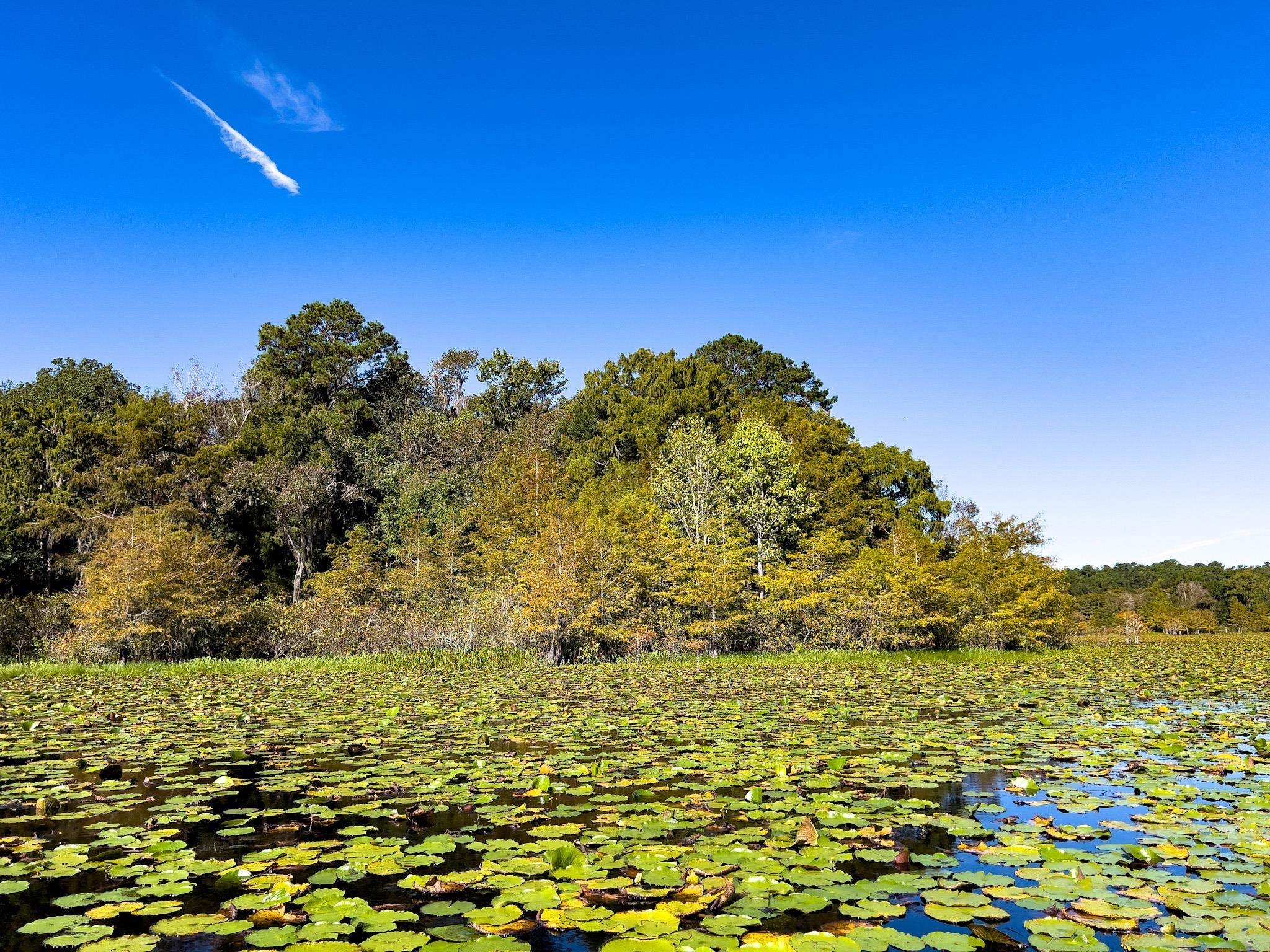 18. Xxxx Lake Iamonia Islands Island