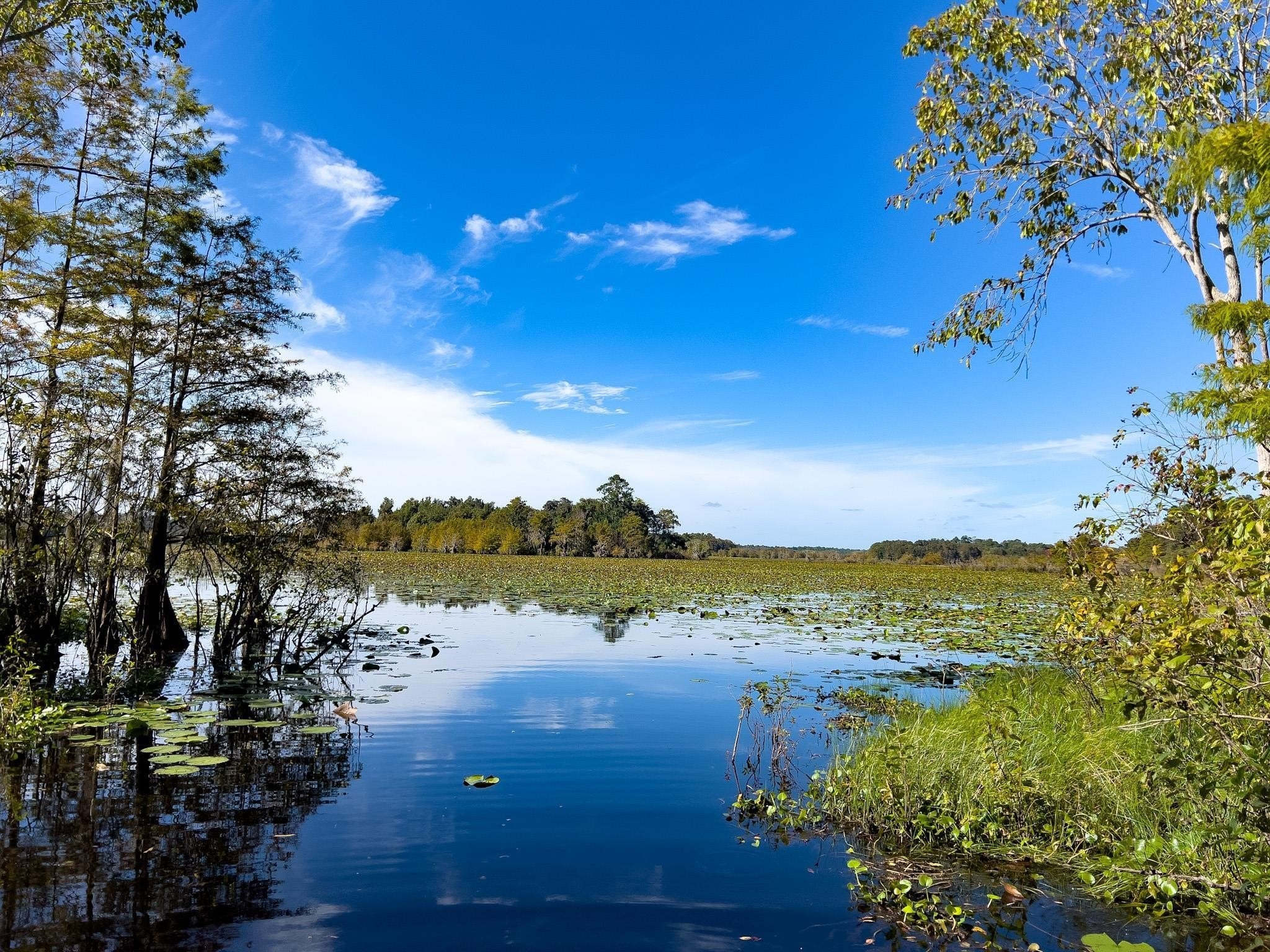 2. Xxxx Lake Iamonia Islands Island