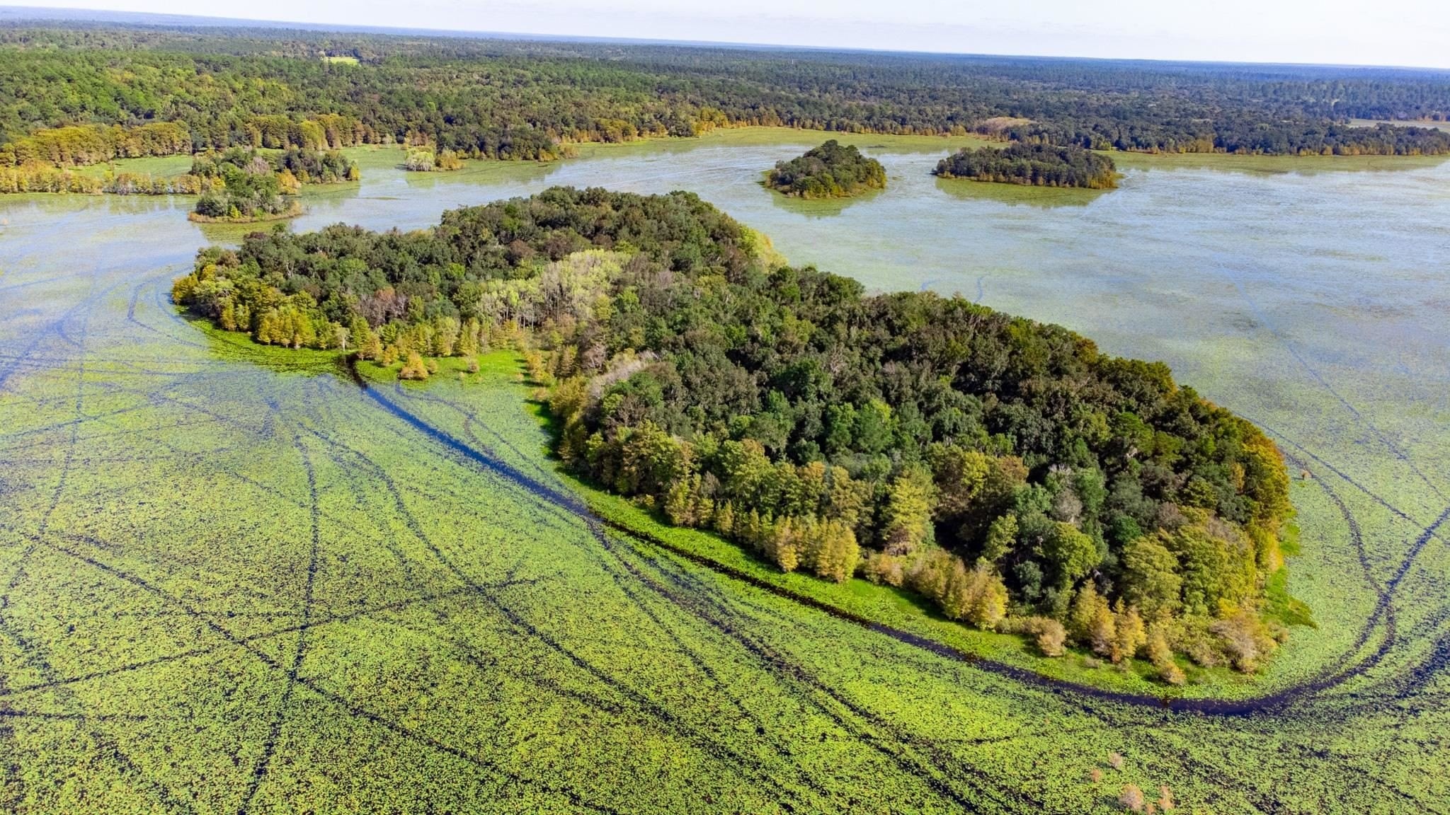 9. Xxxx Lake Iamonia Islands Island