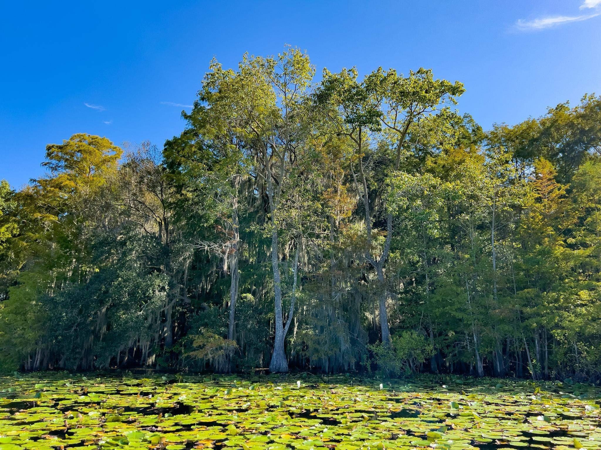 16. Xxxx Lake Iamonia Islands Island