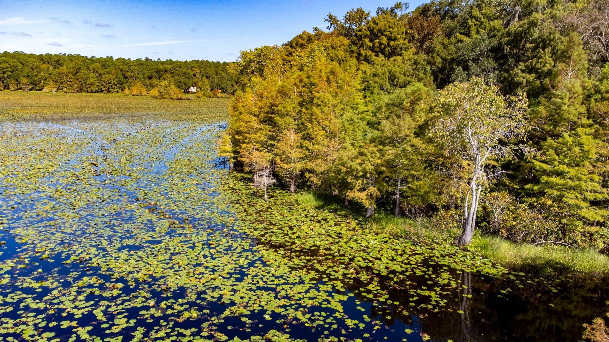 20. Xxxx Lake Iamonia Islands Island