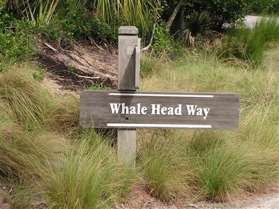 3. 207 Whale Head Way