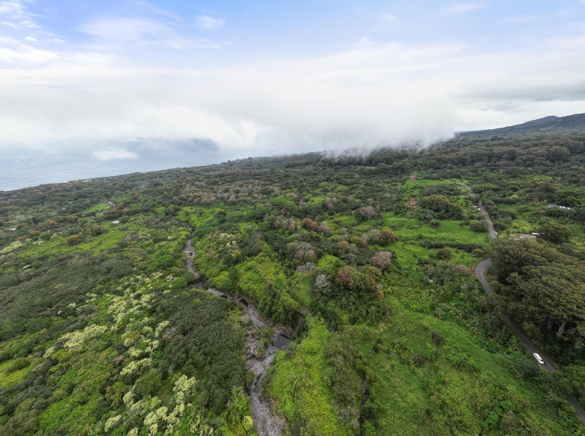 21. Lot 20 Hana Hwy