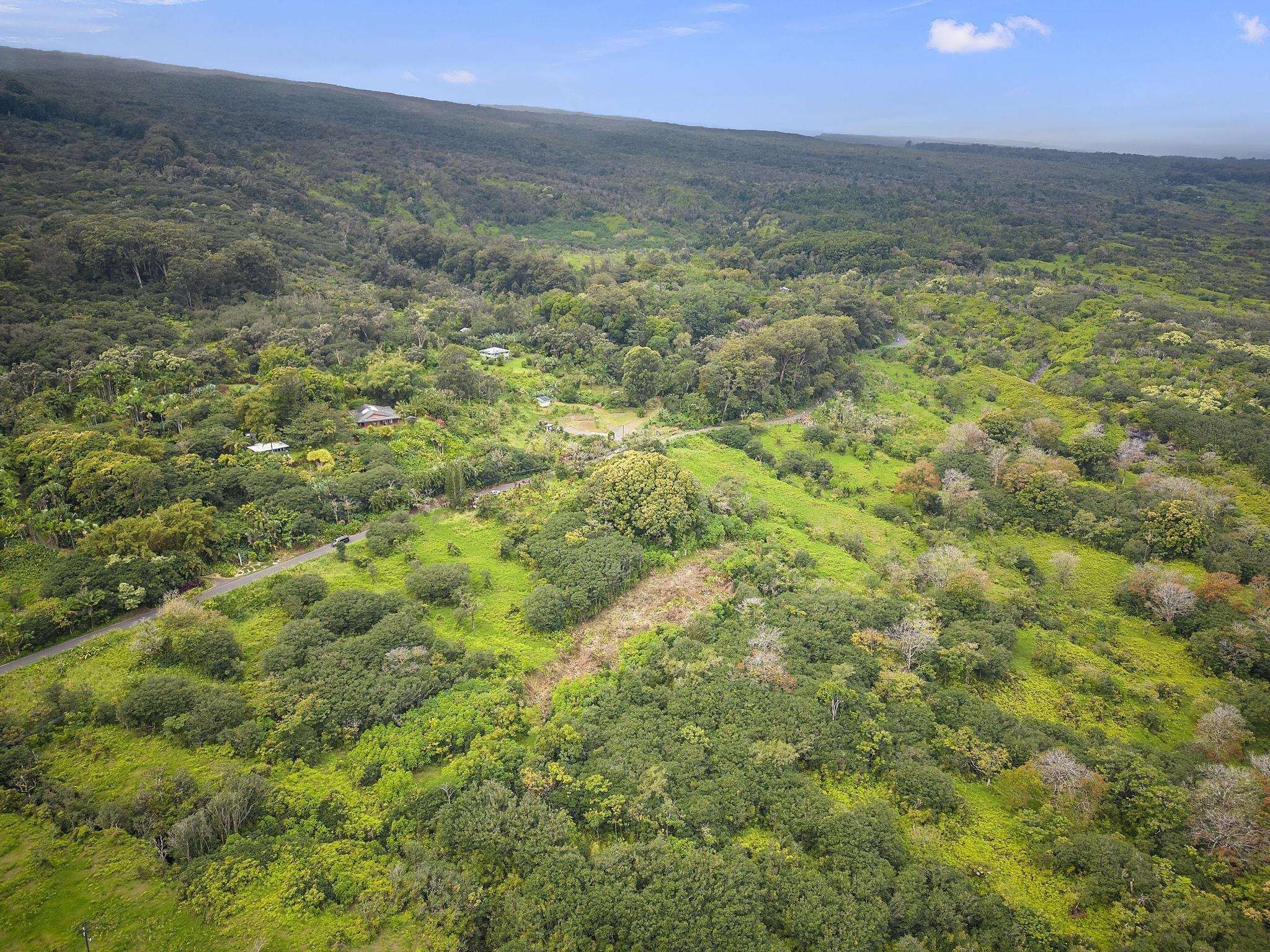 10. Lot 20 Hana Hwy