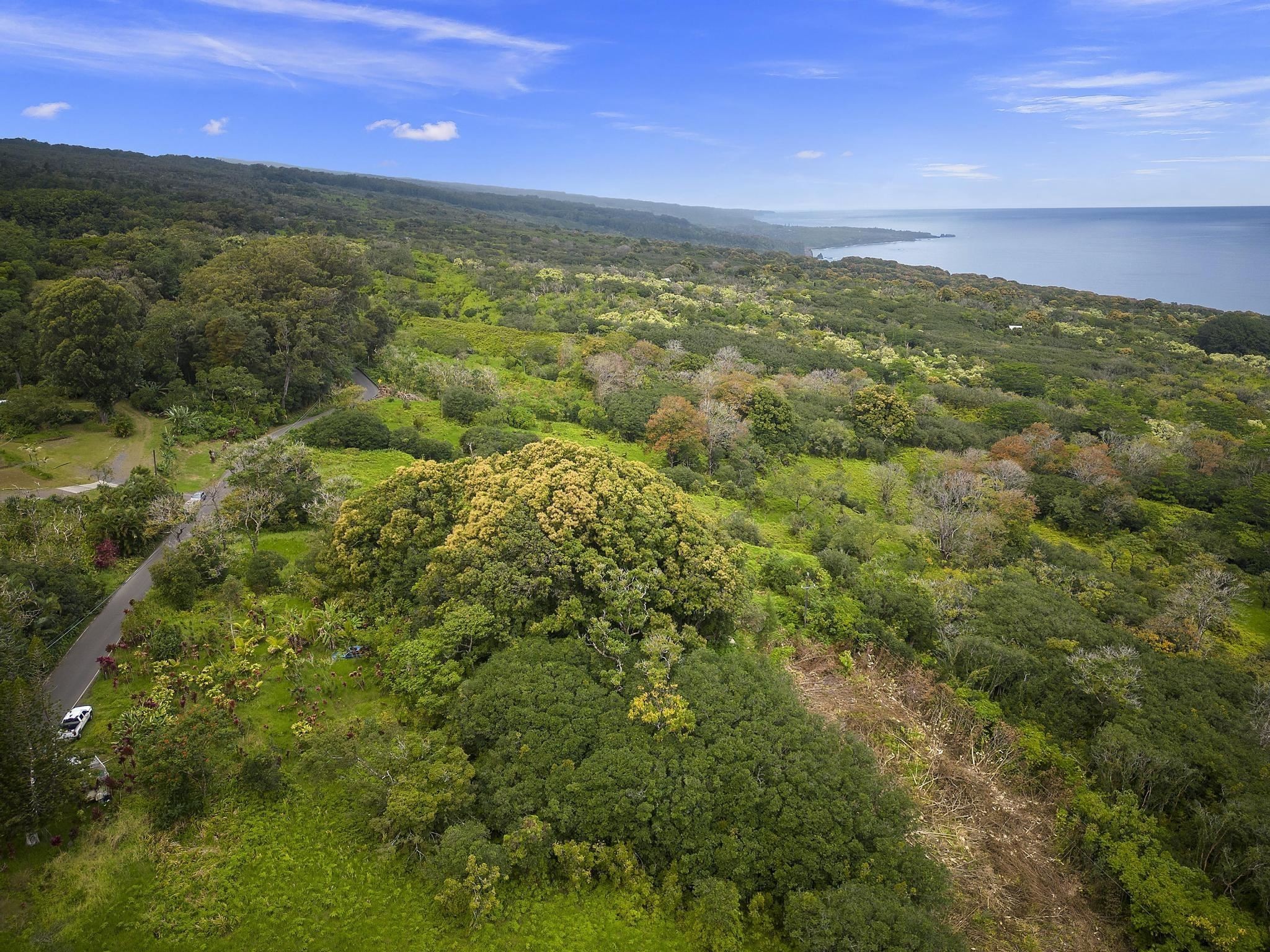 1. Lot 20 Hana Hwy