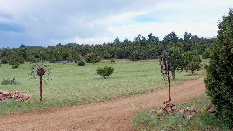 26. 1310 Pronghorn Path