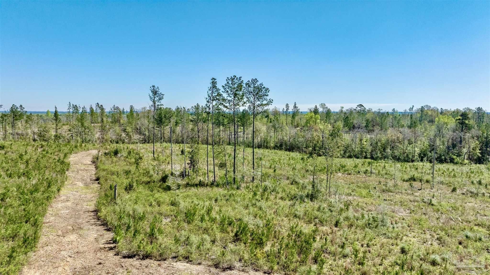 1. Lot 3-C Cotton Lake Rd