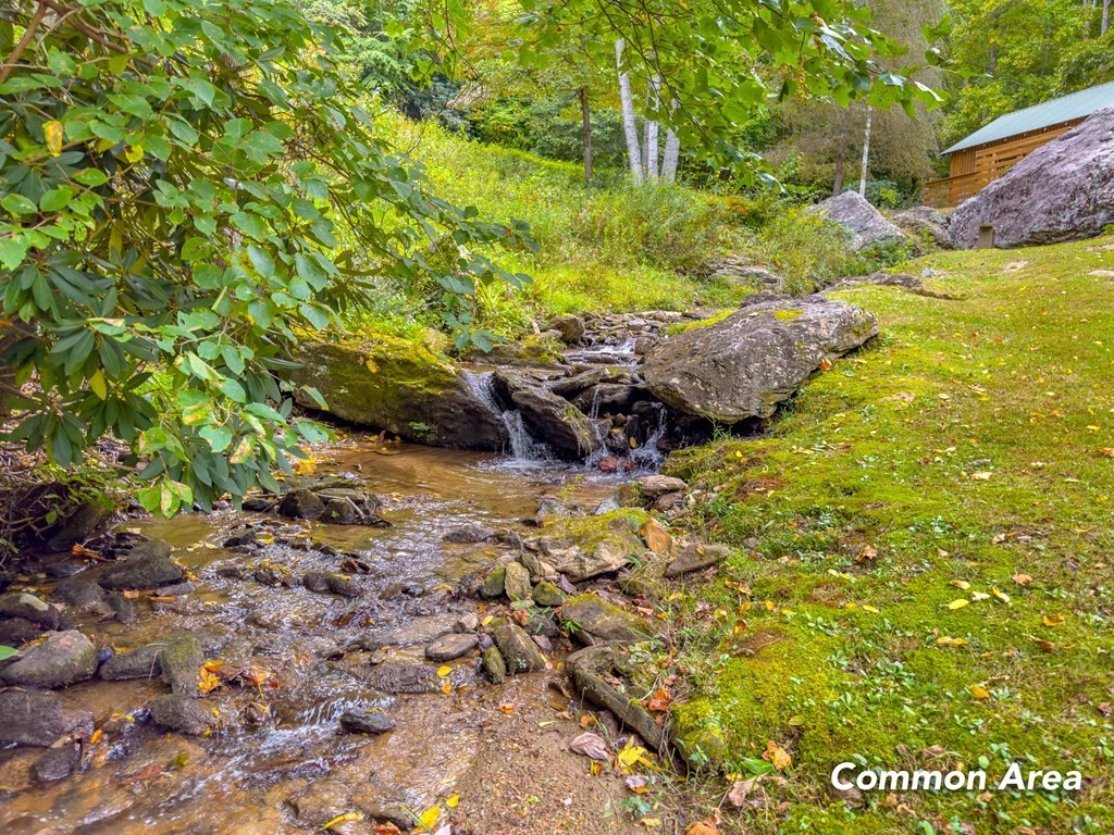 38. 656 Covered Bridge Trl