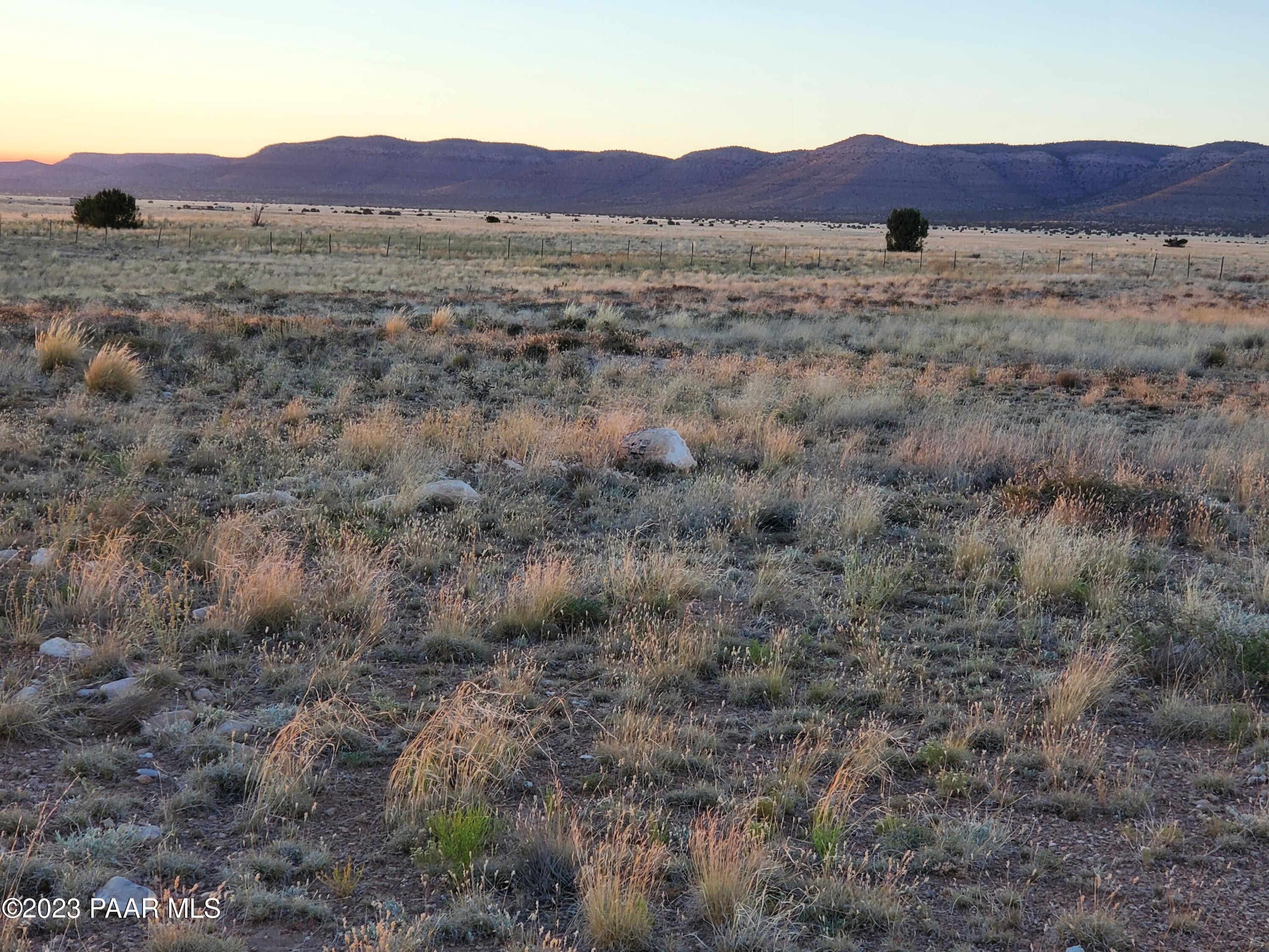 10. 000 Curtis Ranch Road