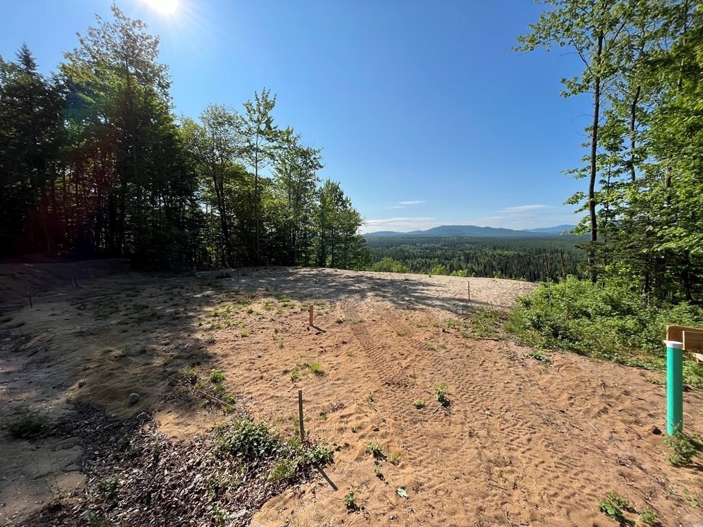 2. 245 Adirondack Mountain Trail Road