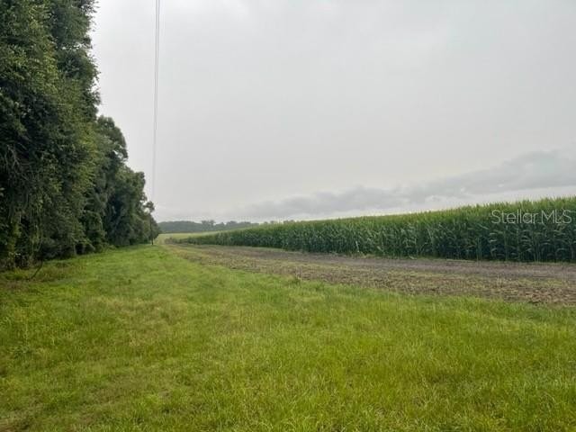 8. NE Chitty Bend Trail