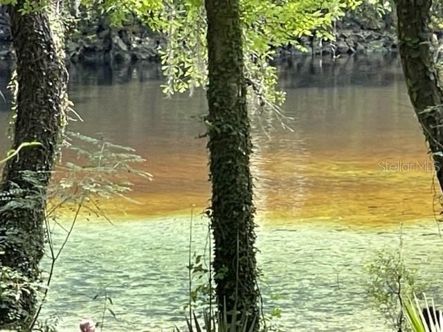 28. NE Chitty Bend Trail