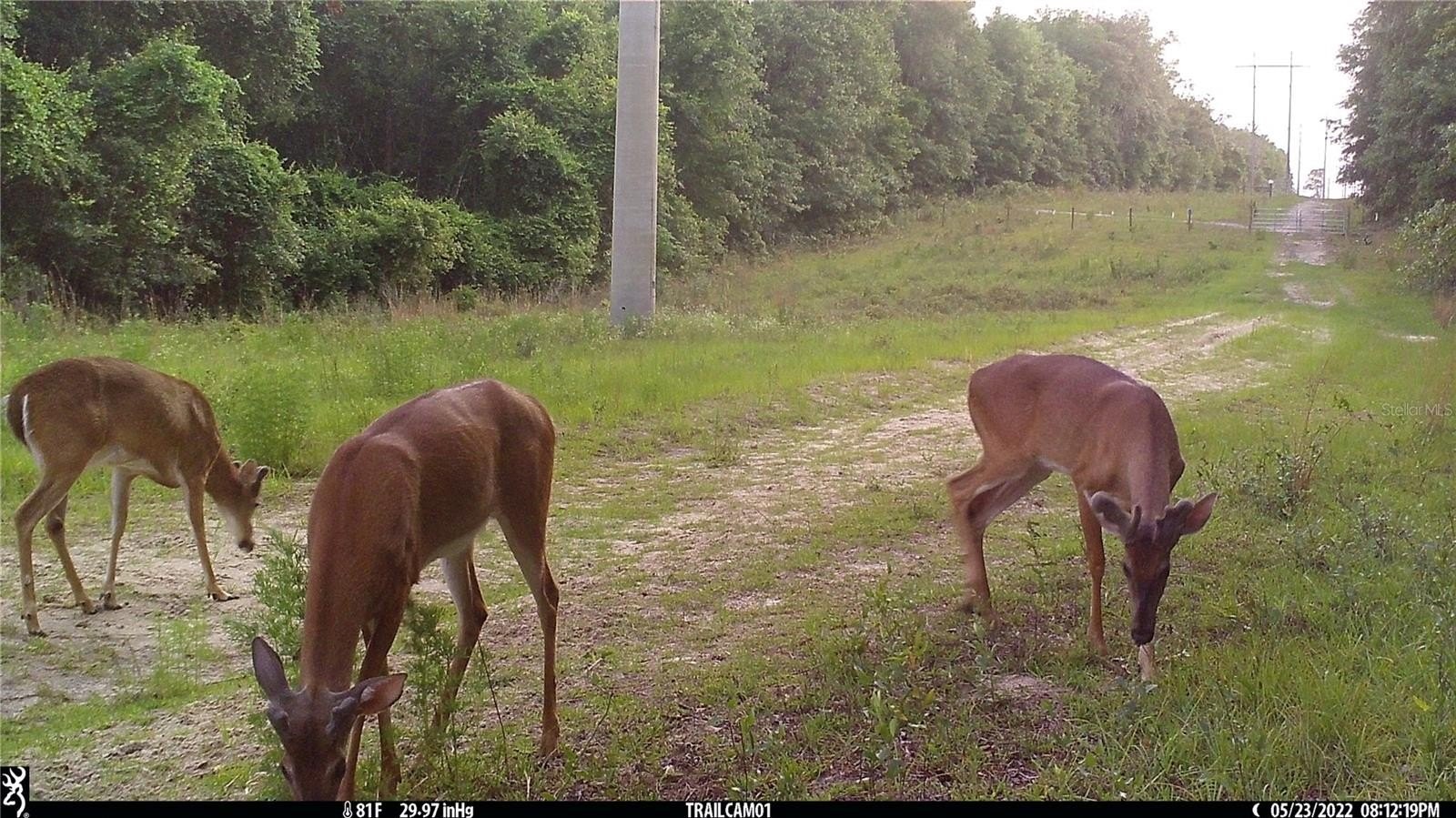 4. NE Chitty Bend Trail