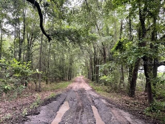 14. NE Chitty Bend Trail