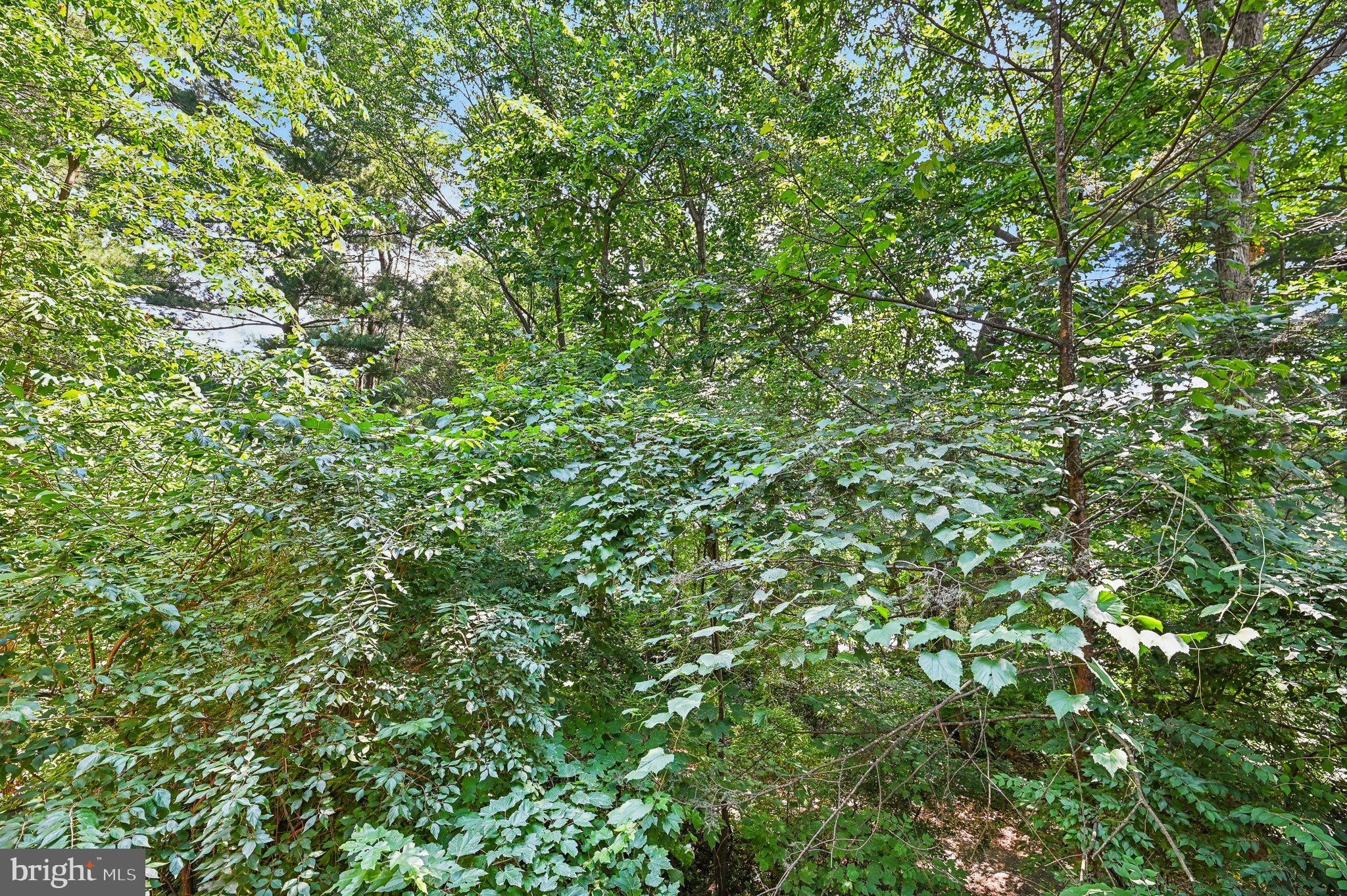 25. 11164 Beaver Trail Court