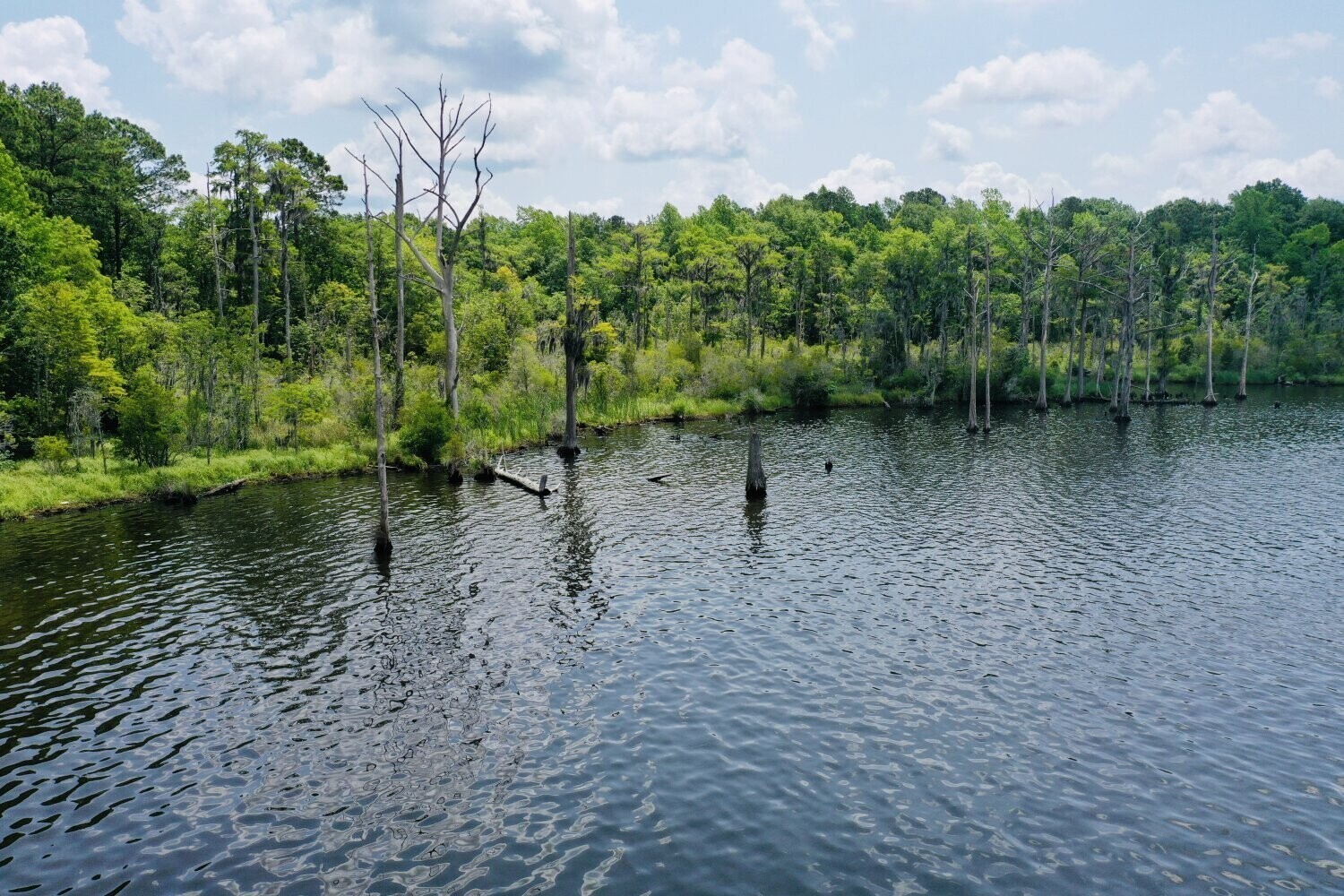 20. 0 Mouth Of The Creek Road