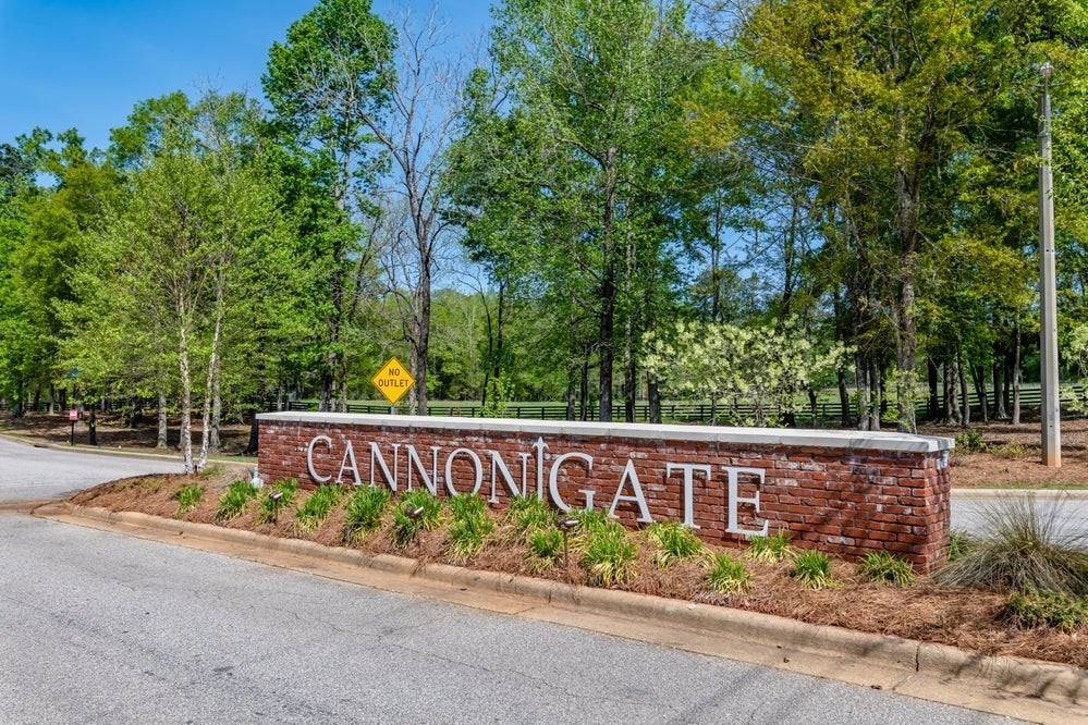 46. 2110 Cannon Gate Drive