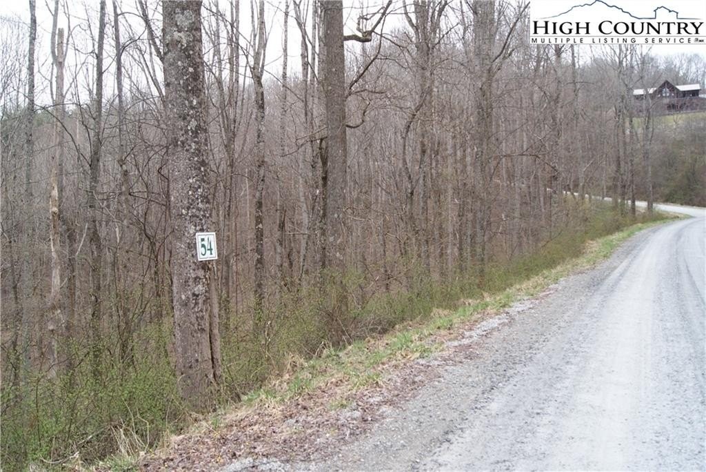 1. Lot 54 Toms Knob Road