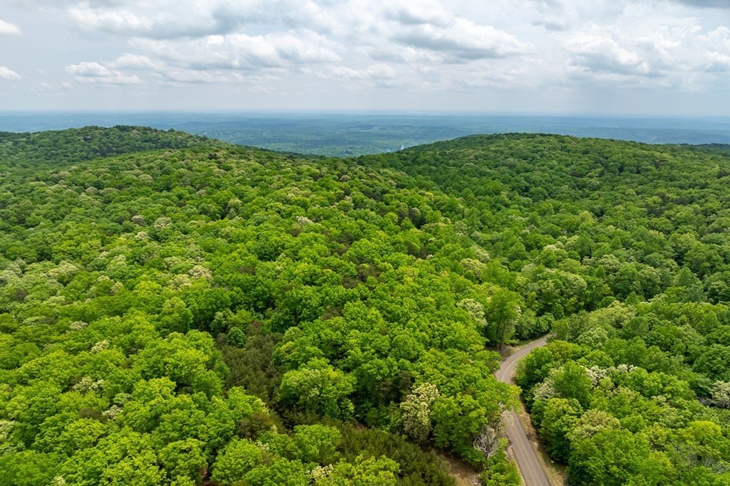 10. Lot 191 Mystic Trail Lane