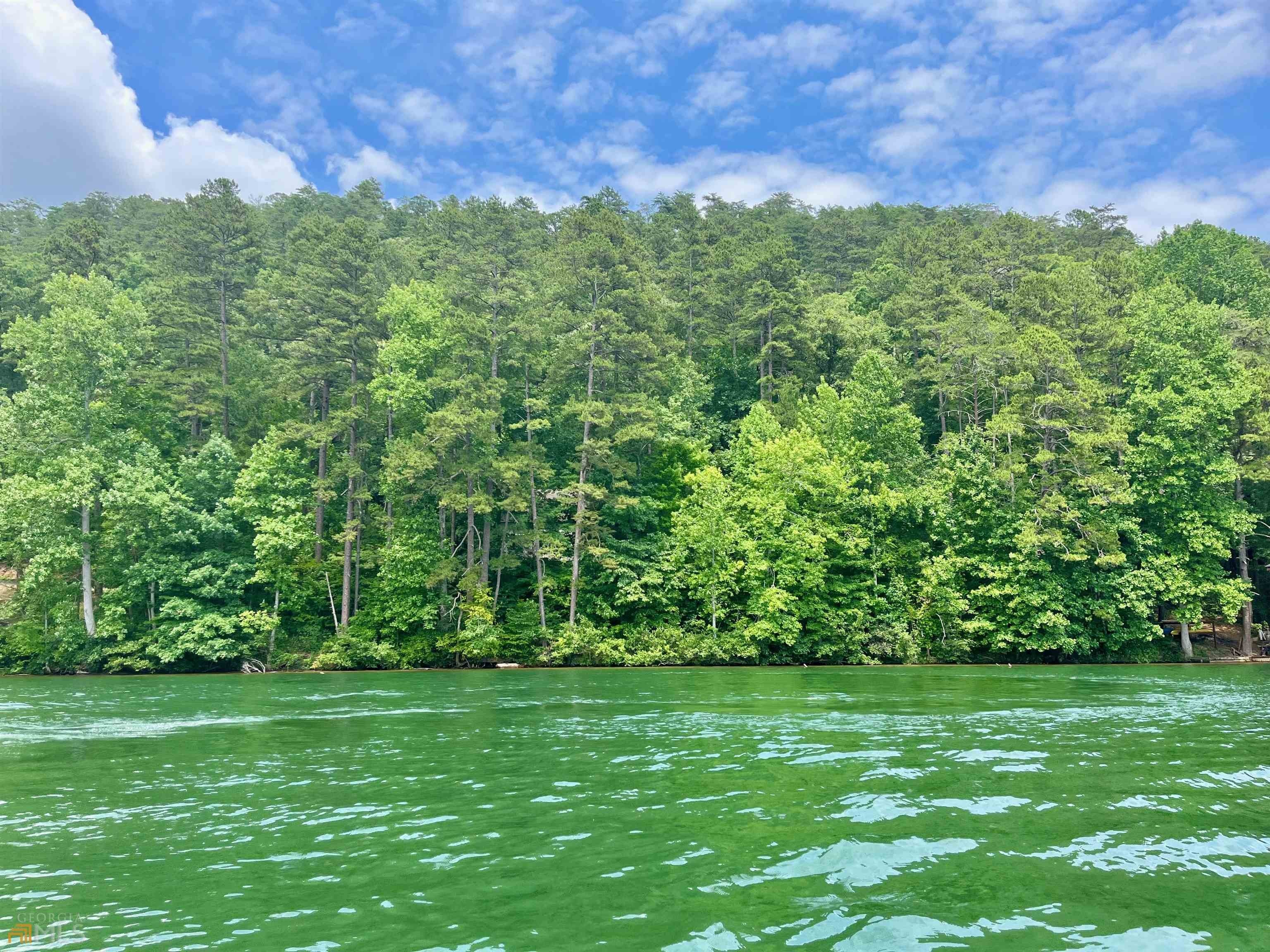 12. 773 Lake Yonah Recreational Development