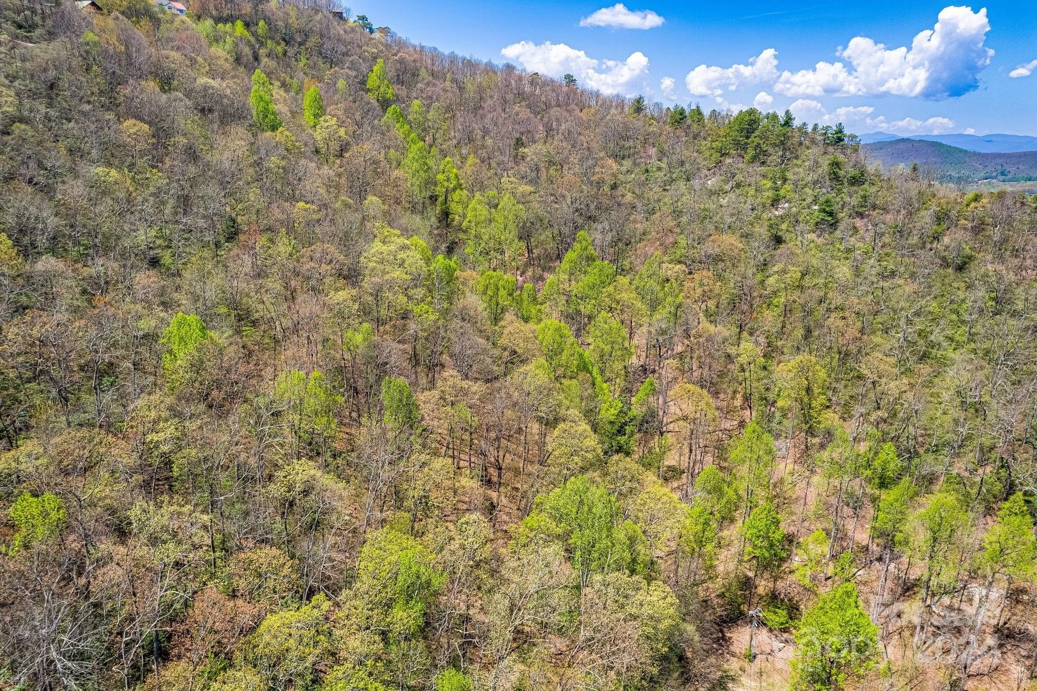 10. 000 Pinnacle Mountain Road