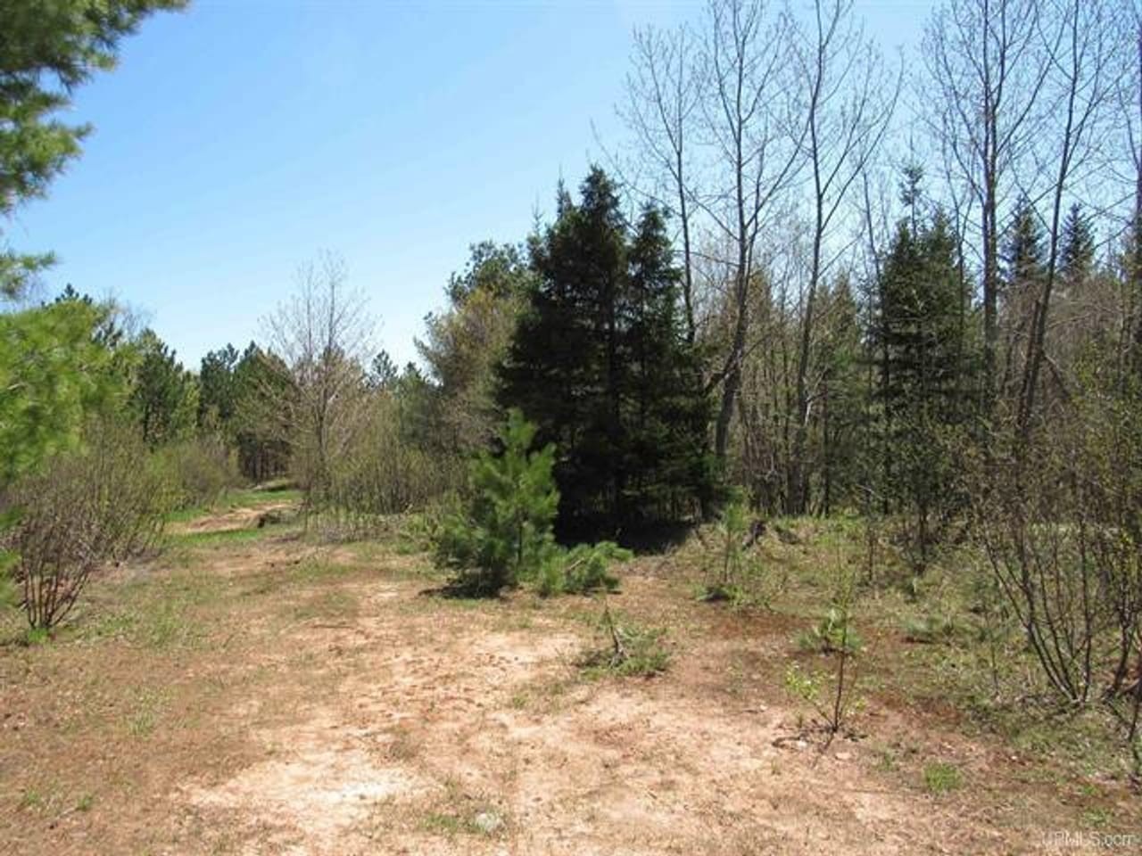 2. 40 Acres Off Snowmobile Trail 133
