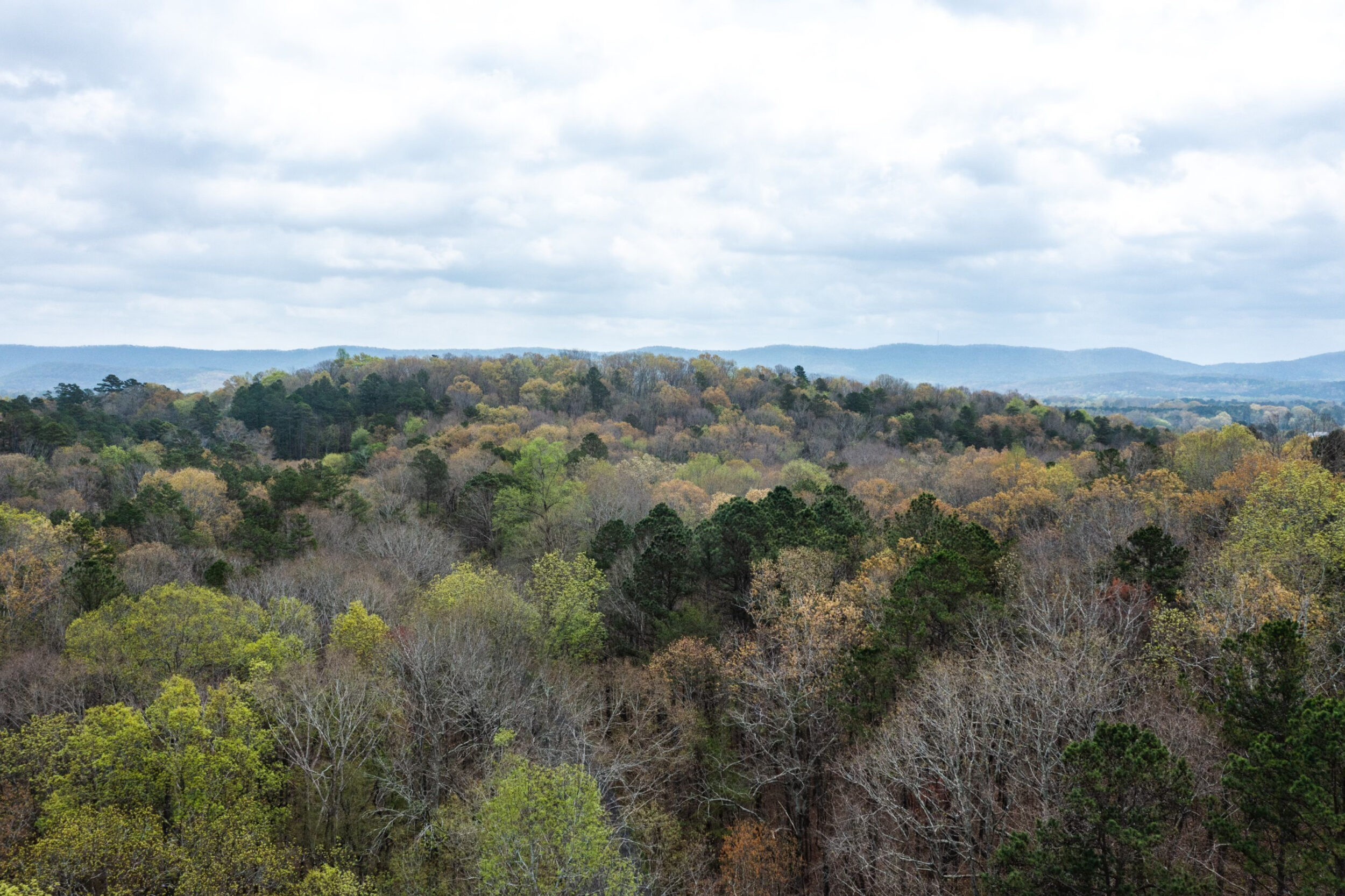 7. Tbd Rocky Hollow Road