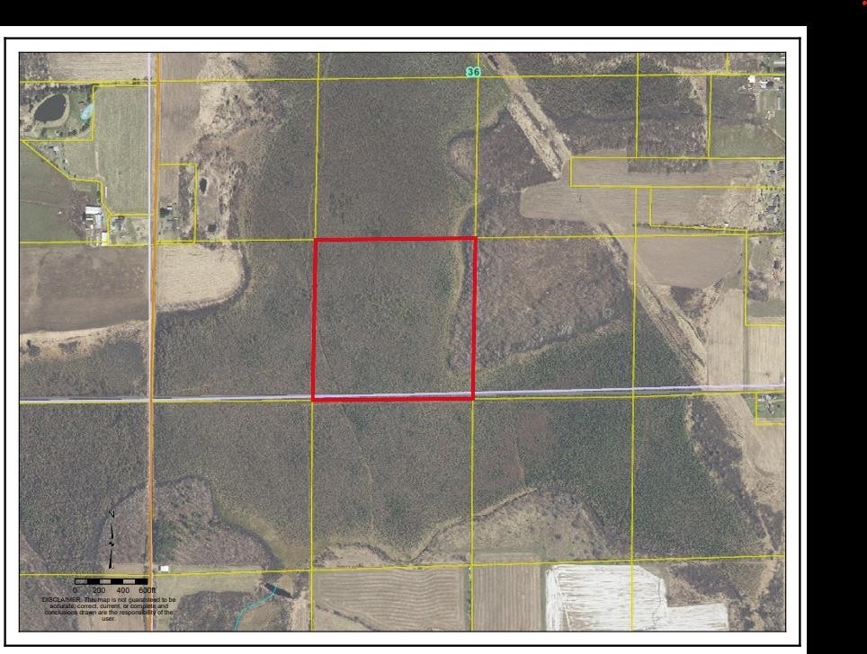 2. 40acres Mol Dicus