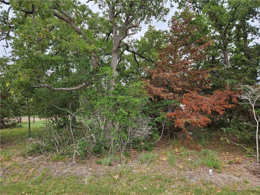 8. Lot 33 Apache Drive