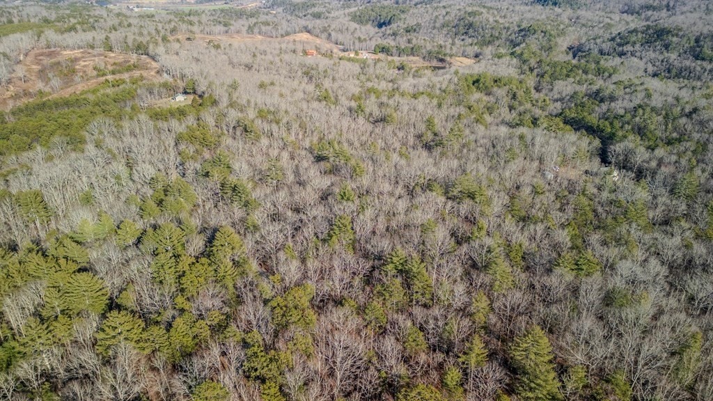 11. 5.96 Ac Old Ridge Road