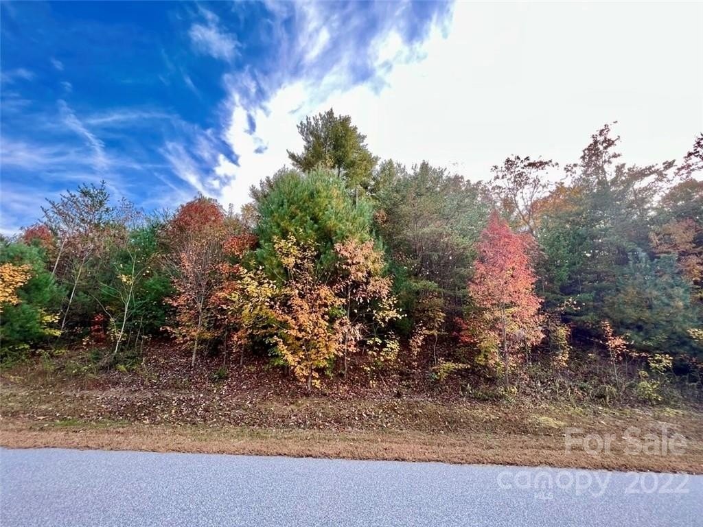 2. 1.99 Acres Round Mountain Parkway