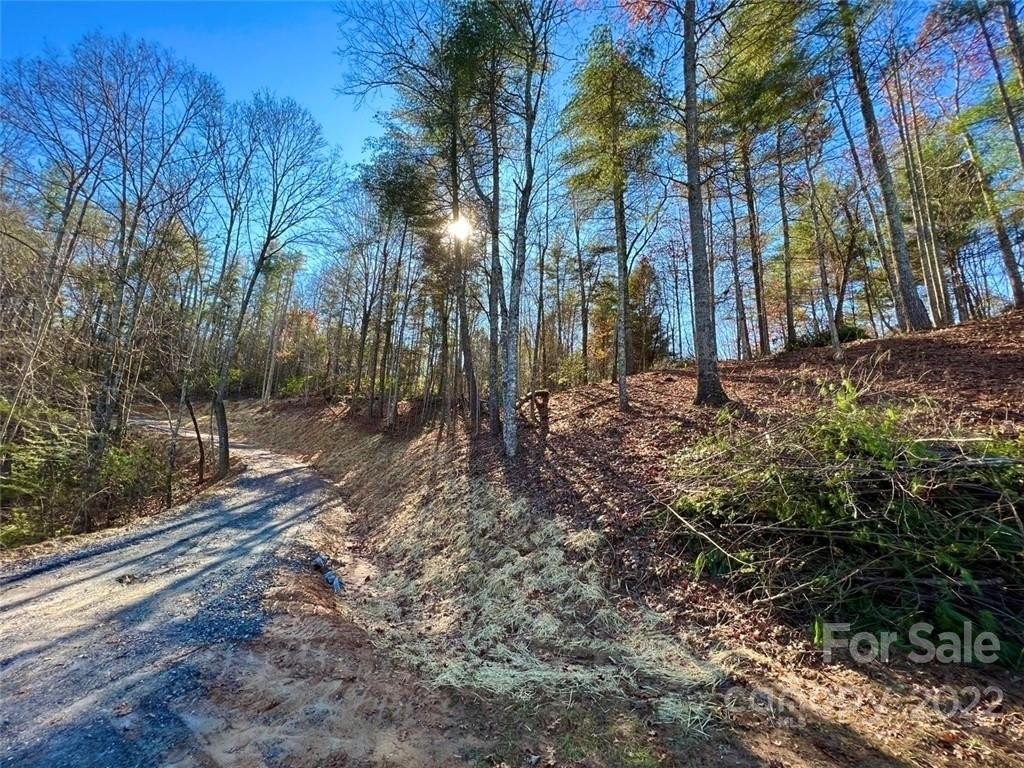 6. 1.99 Acres Round Mountain Parkway